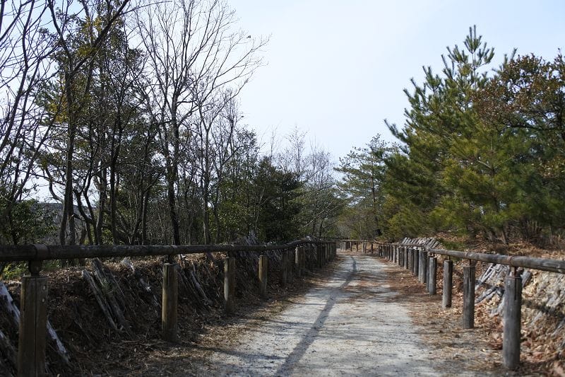 DSC_5543.jpg DSC_5543.jpg