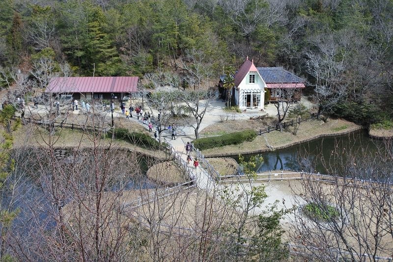 DSC_5533.jpg DSC_5533.jpg