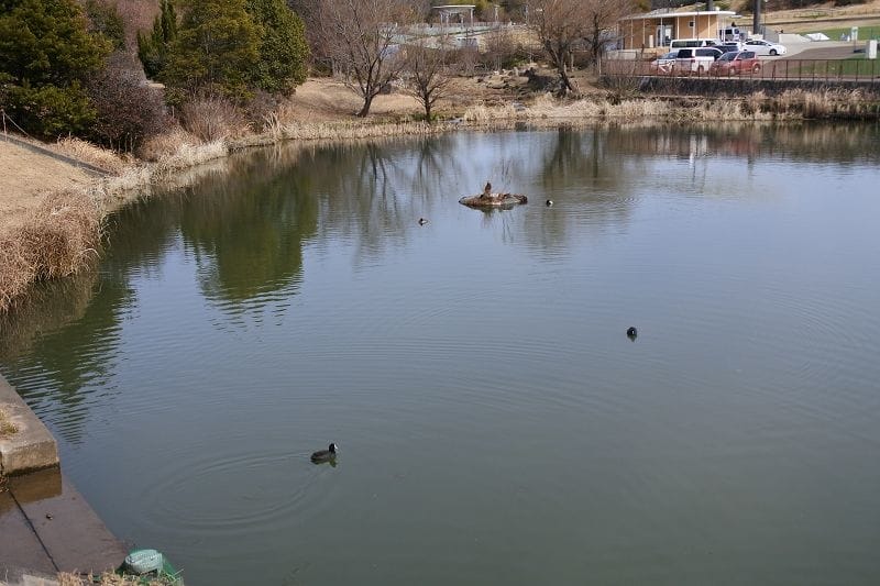 DSC_5545.jpg DSC_5545.jpg