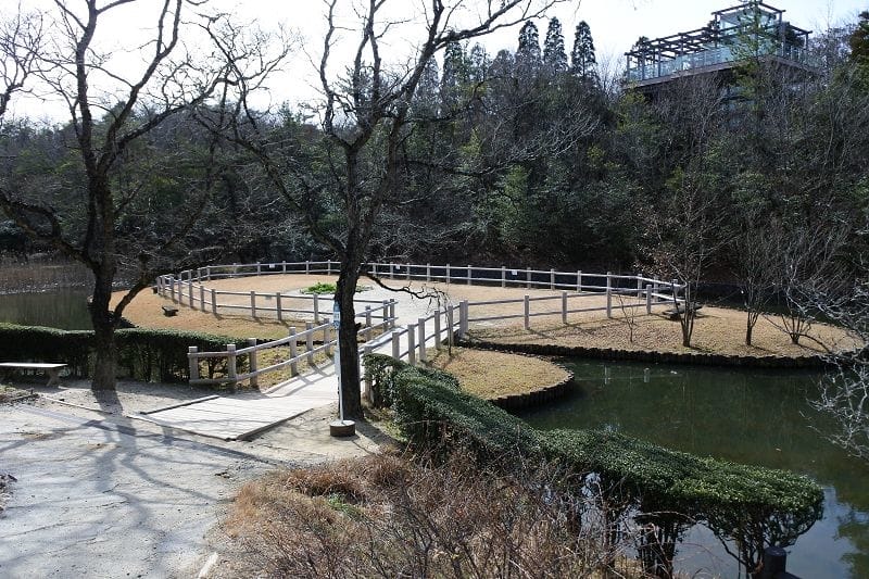 DSC_5497.jpg DSC_5497.jpg