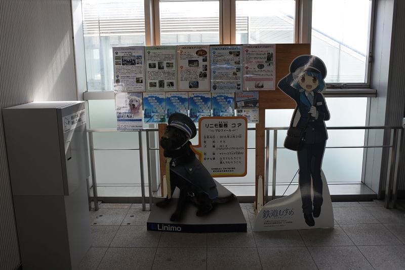 DSC_5475.jpg DSC_5475.jpg