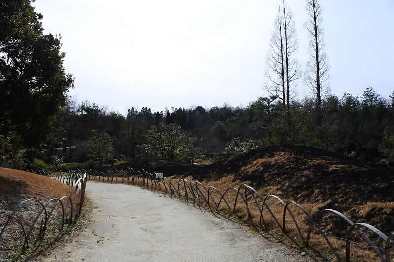 DSC_5539.jpg DSC_5539.jpg