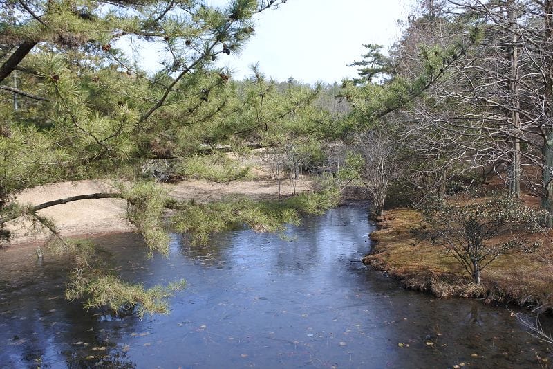 DSC_5538.jpg DSC_5538.jpg