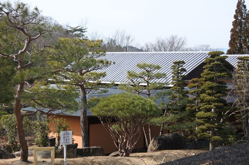 DSC_5541.jpg DSC_5541.jpg