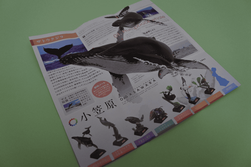 DSC_5885.png DSC_5885.png