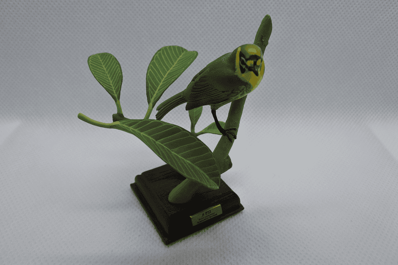 DSC_5962.png DSC_5962.png