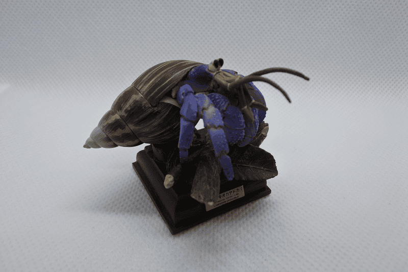 DSC_5957.png DSC_5957.png