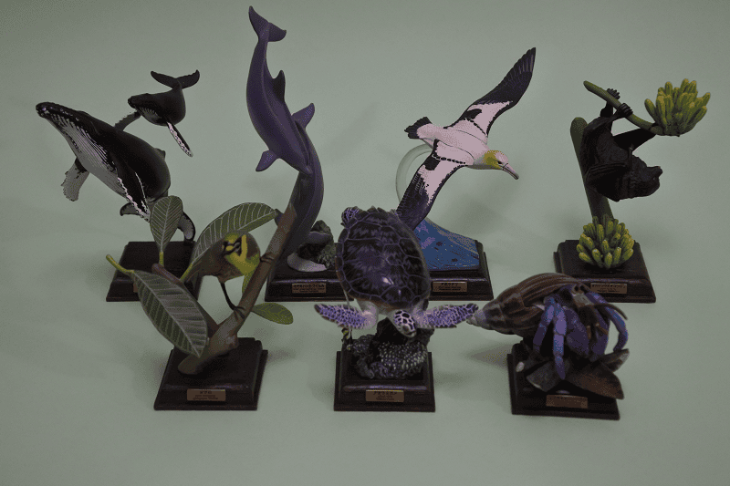 DSC_5878.png DSC_5878.png