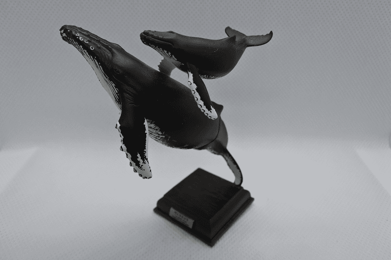 DSC_5951.png DSC_5951.png