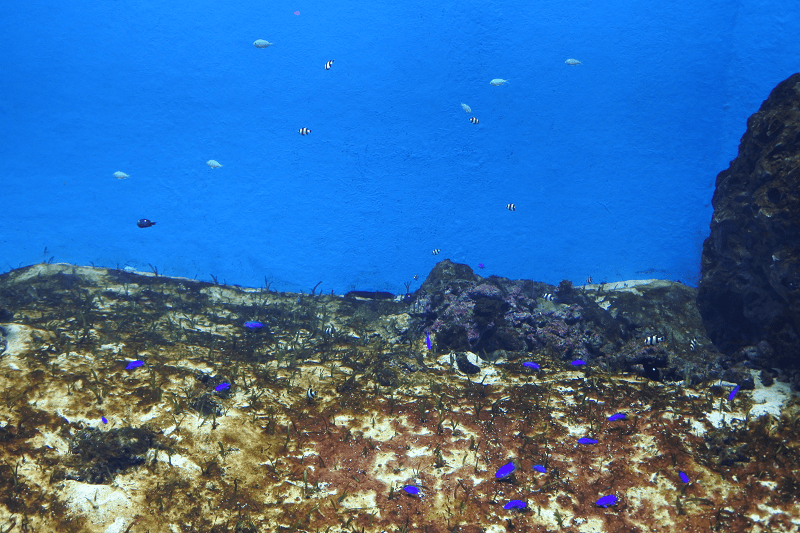 DSC_6010.png DSC_6010.png