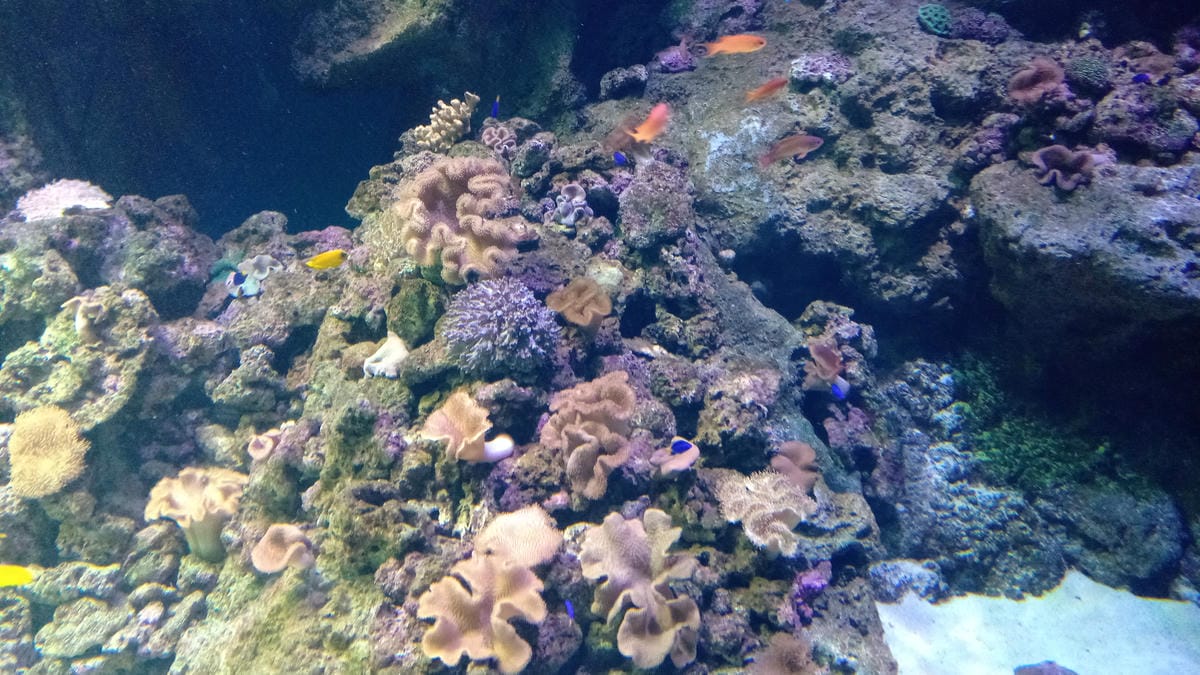 /tmp/phpuJAMes /tmp/phpuJAMes