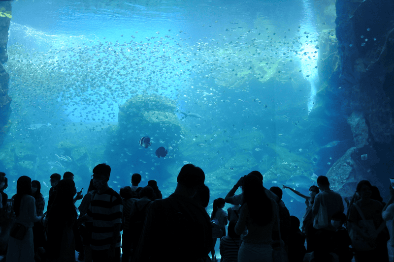 DSC_6019.png DSC_6019.png