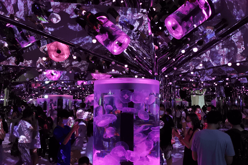 DSC_6073.png DSC_6073.png