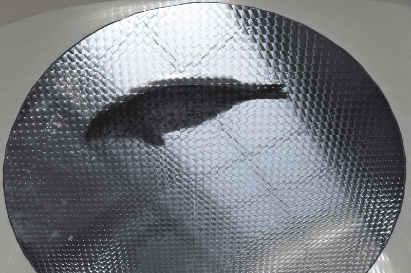 DSC_6058.png DSC_6058.png