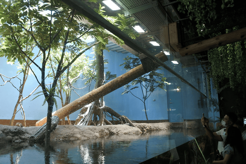 DSC_6053.png DSC_6053.png