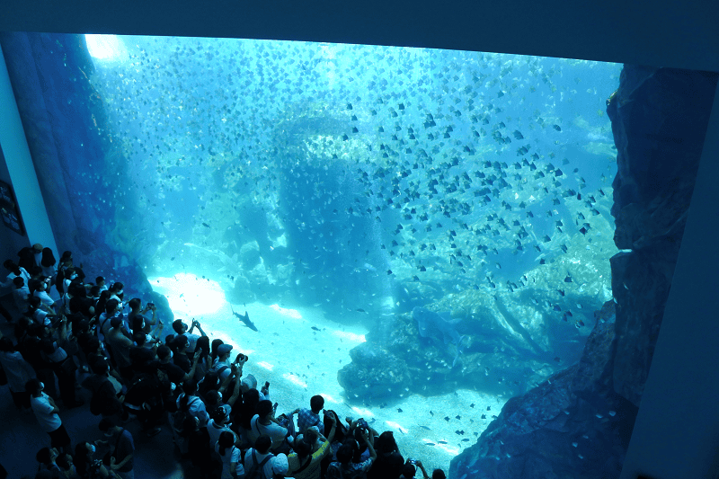 DSC_6064.png DSC_6064.png