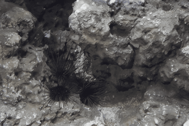 DSC_6038.png DSC_6038.png