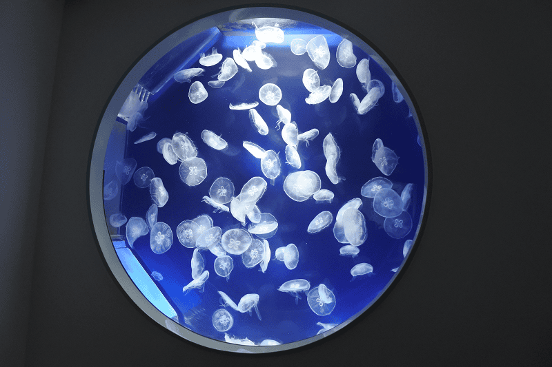 DSC_6067.png DSC_6067.png