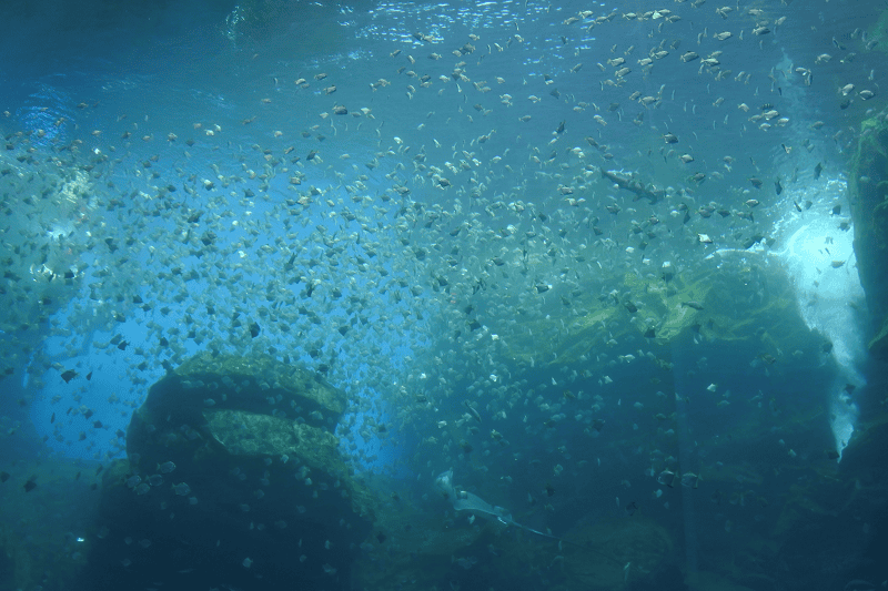 DSC_6016.png DSC_6016.png