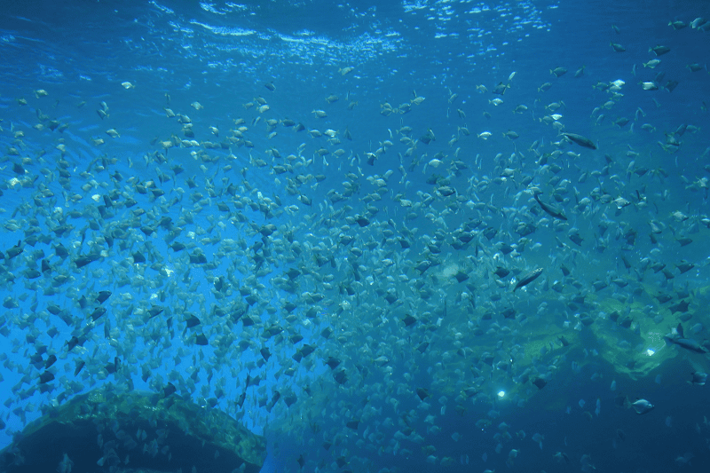 DSC_6018.png DSC_6018.png