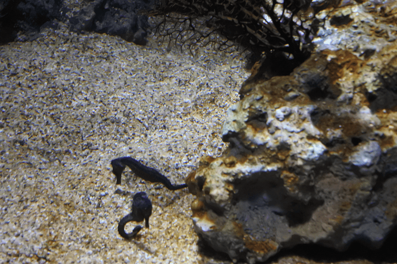 DSC_6031.png DSC_6031.png