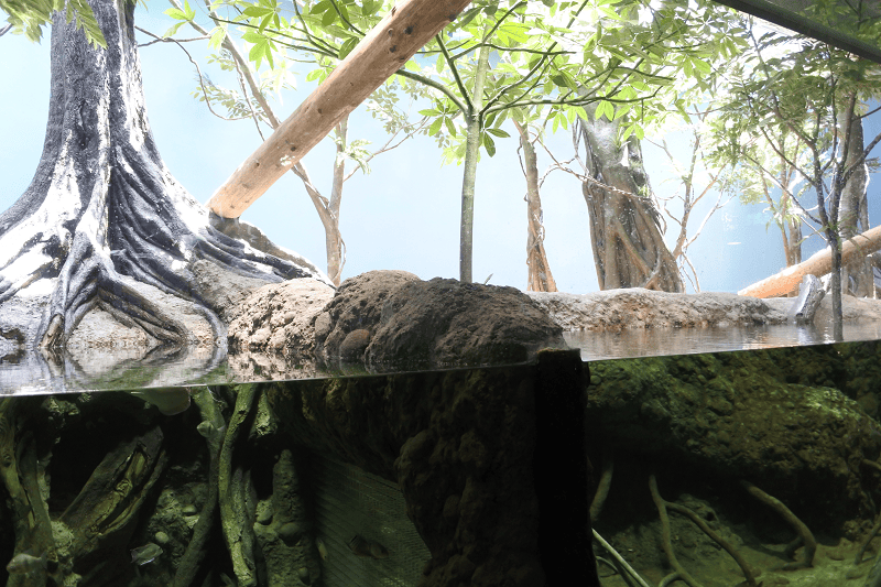 DSC_6050.png DSC_6050.png