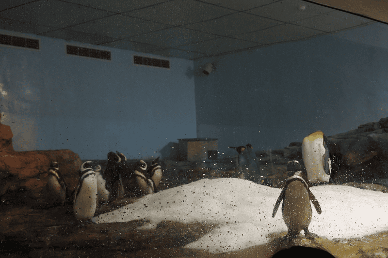 DSC_6084.png DSC_6084.png