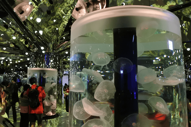 DSC_6075.png DSC_6075.png