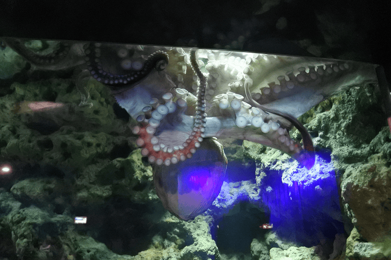 DSC_6062.png DSC_6062.png