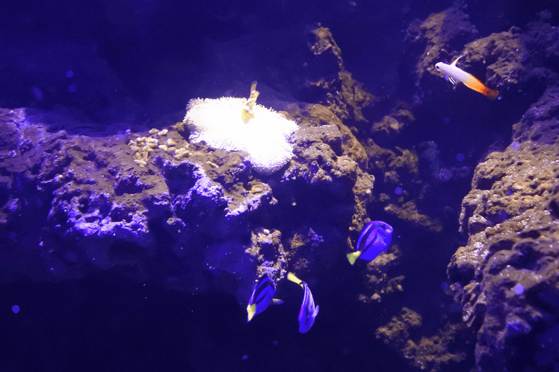 DSC_6035.png DSC_6035.png