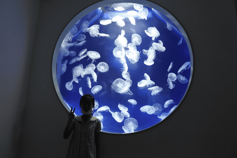 DSC_6080.png DSC_6080.png