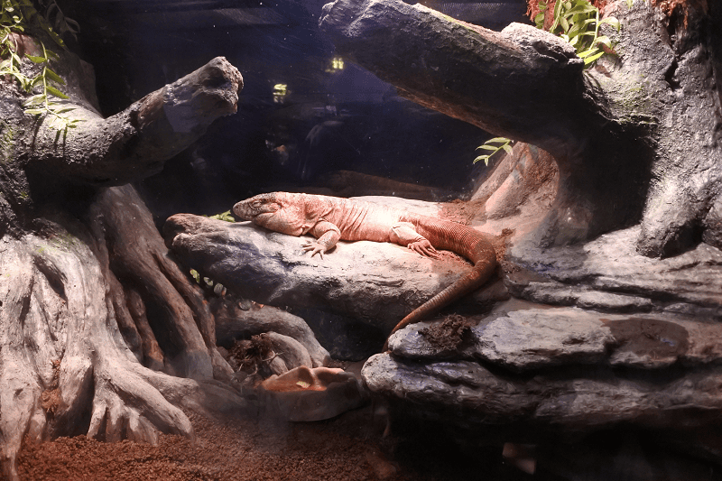 DSC_6049.png DSC_6049.png