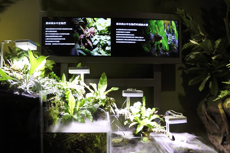 DSC_6055.png DSC_6055.png