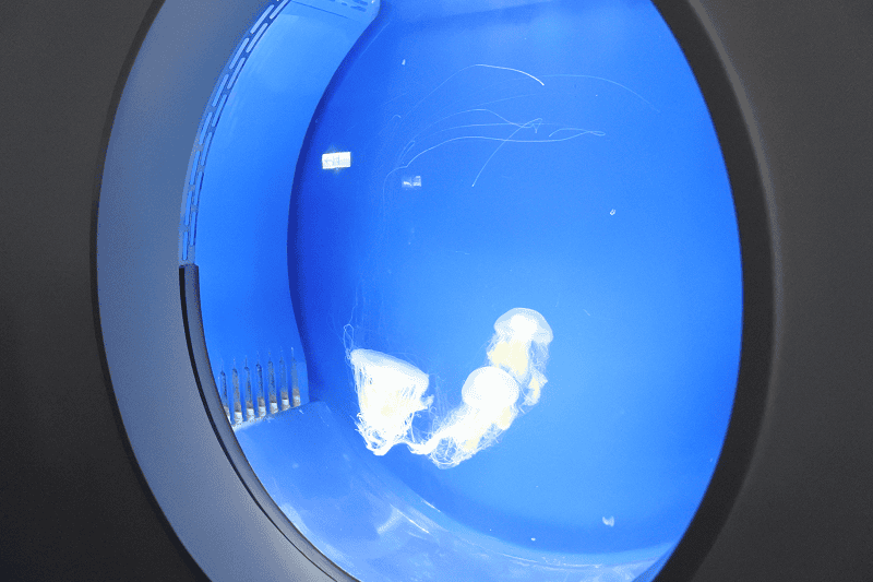 DSC_6068.png DSC_6068.png