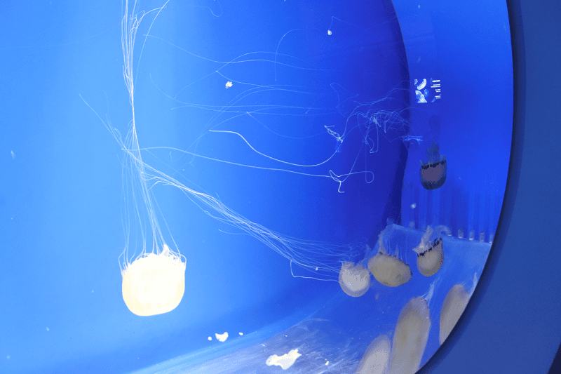 DSC_6069.png DSC_6069.png