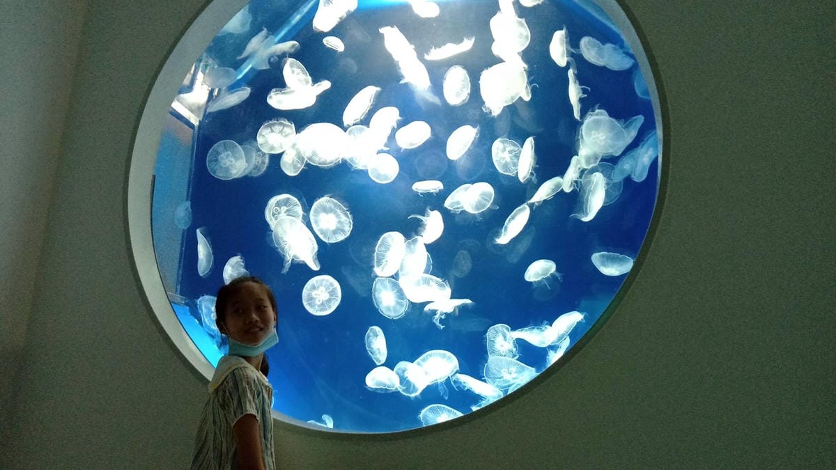 /tmp/phpdmNkCv /tmp/phpdmNkCv