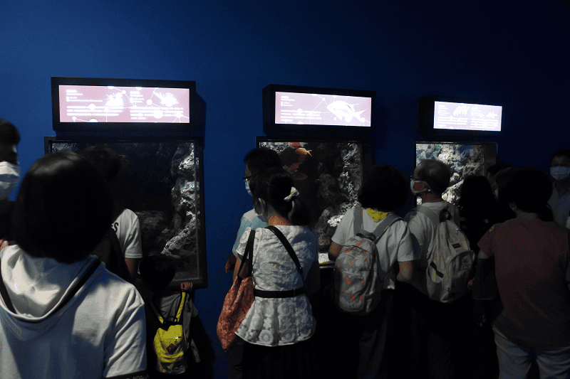 DSC_6036.png DSC_6036.png