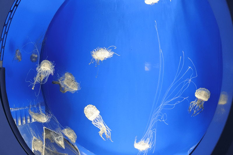 DSC_6070.png DSC_6070.png