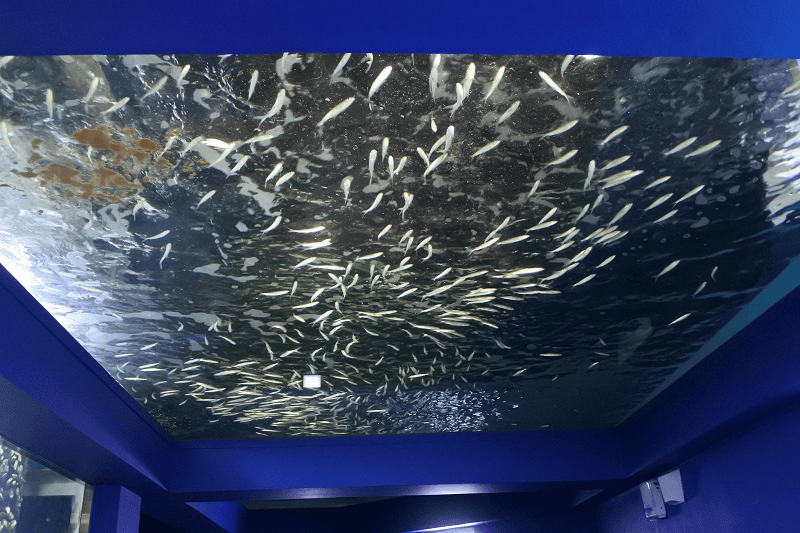 DSC_6013.png DSC_6013.png