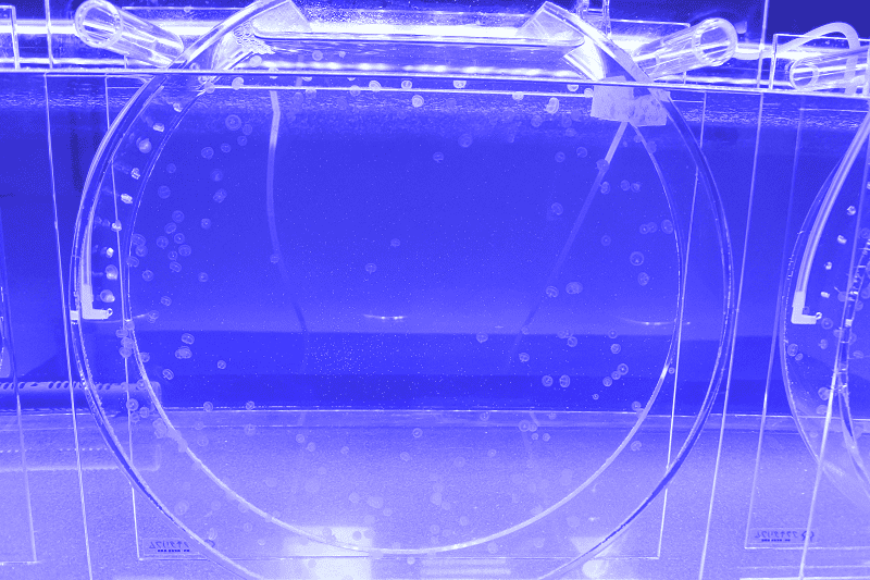 DSC_6072.png DSC_6072.png