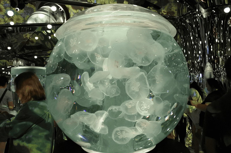 DSC_6077.png DSC_6077.png