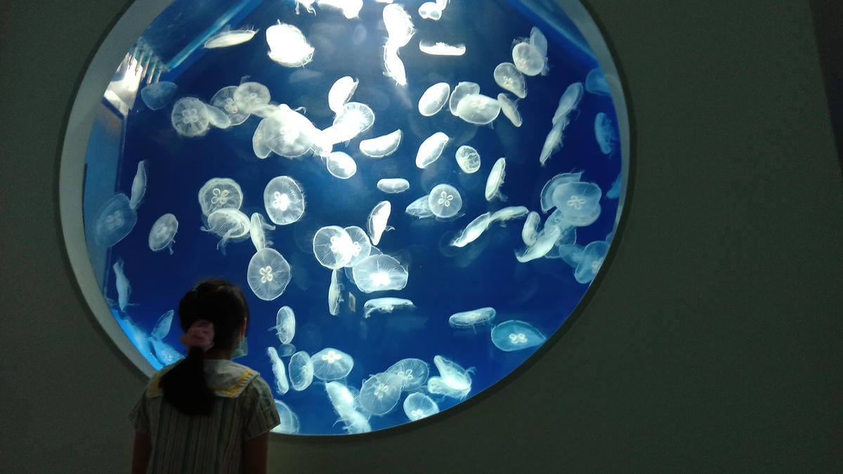 /tmp/phpB1ACDk /tmp/phpB1ACDk