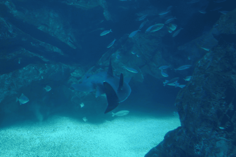 DSC_6017.png DSC_6017.png