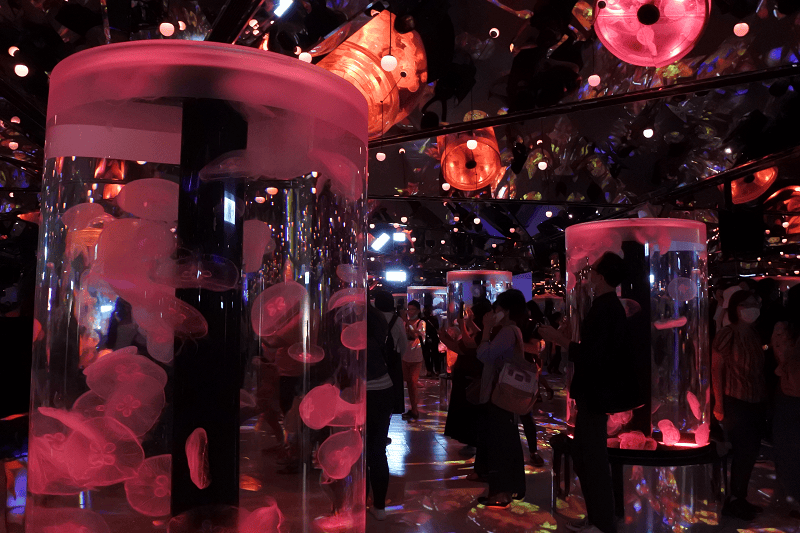 DSC_6078.png DSC_6078.png