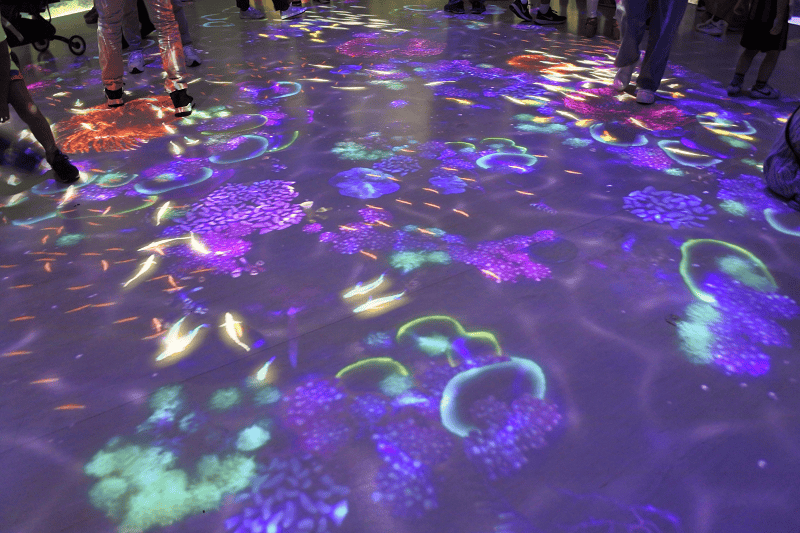 DSC_6024.png DSC_6024.png