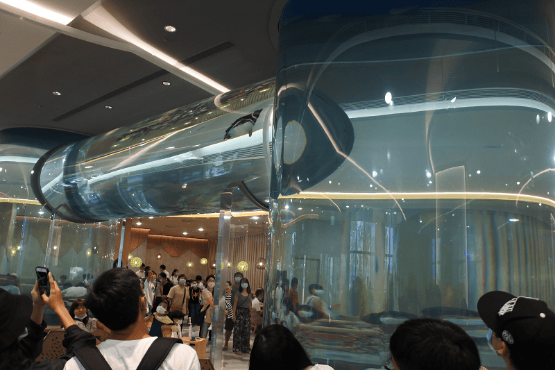 DSC_6100.png DSC_6100.png