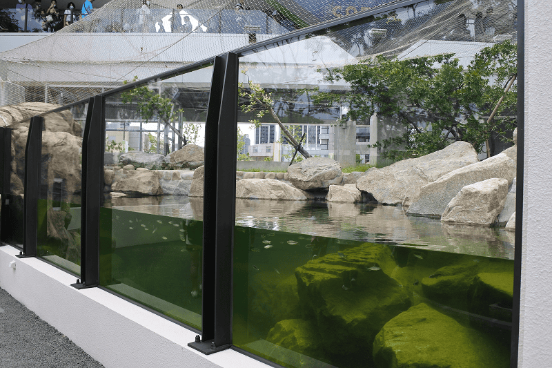 DSC_6096.png DSC_6096.png