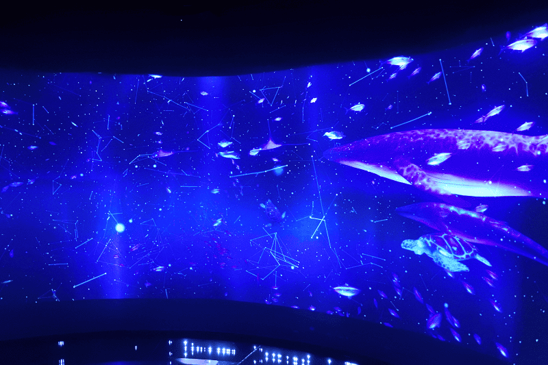 DSC_6008.png DSC_6008.png