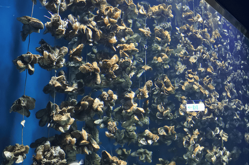 DSC_6012.png DSC_6012.png