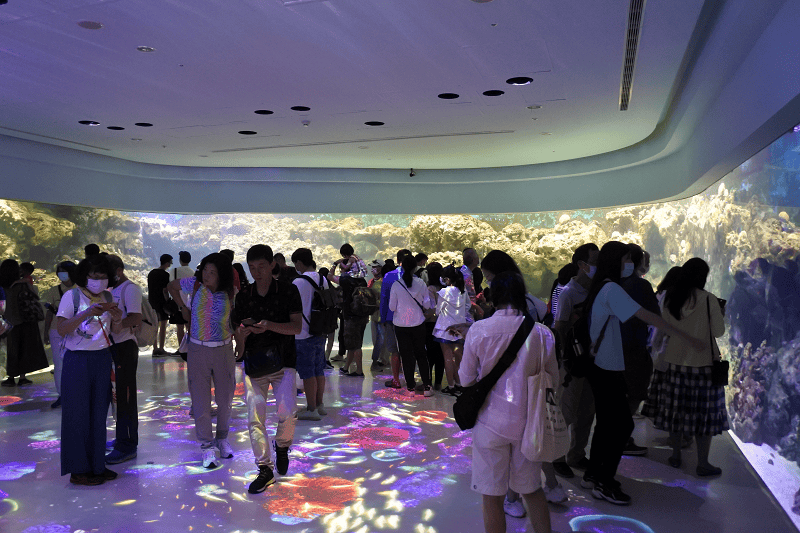 DSC_6028.png DSC_6028.png